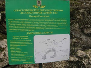 рыба и диета
